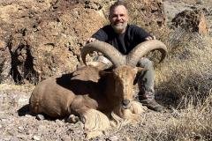 Aoudad ram spotted in rugged desert terrain during a New Mexico hunt