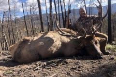 Glassing high country for elk during a guided New Mexico hunt