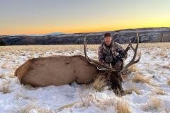 Bull elk hunt in snowy New Mexico mountains