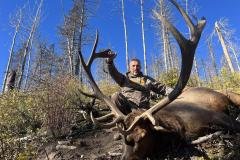 Early morning elk hunt in New Mexico mountain terrain
