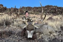 Trophy mule deer buck glassed in rugged New Mexico terrain