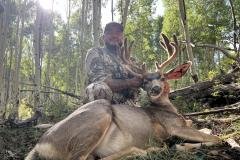 Early morning mule deer hunt in New Mexico high country