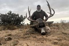 Mature mule deer buck glassed in rugged New Mexico terrain