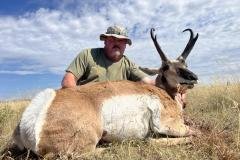 Pronghorn buck moving across open plains in New Mexico