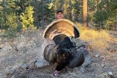 Close-range turkey hunt with responsive gobblers in New Mexico